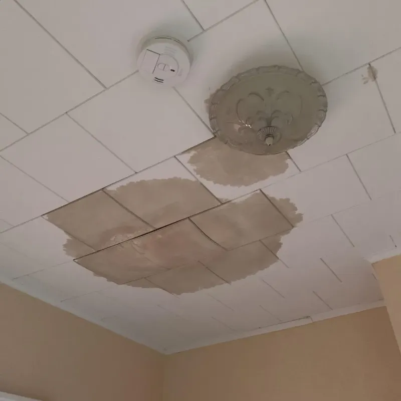 Ceiling Water Damage Repair in Watauga, TX