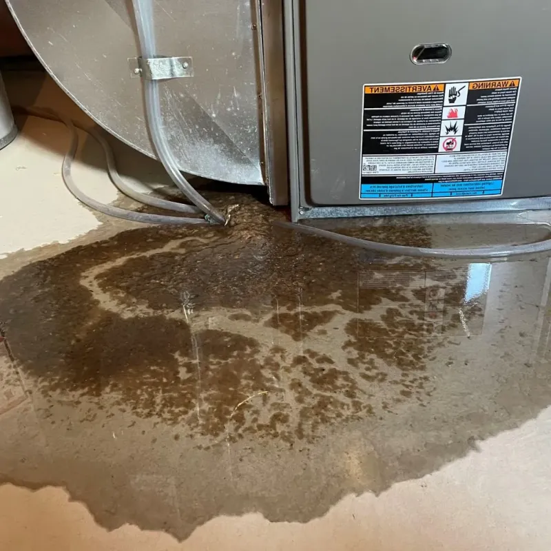 Pipe Burst and Leak Restoration in Watauga, TX
